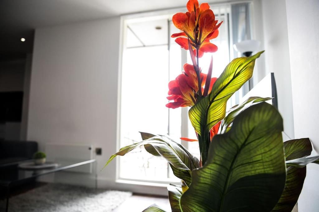 Modern 2 Bedroom Apartment - City Centre - Parking Manchester Buitenkant foto